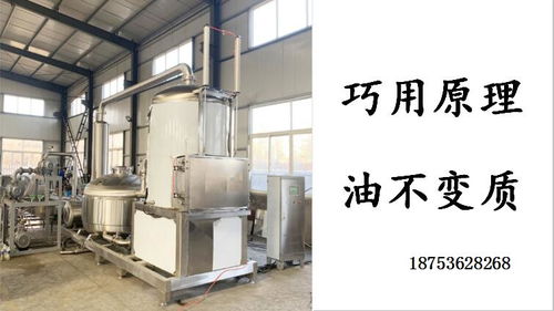 小鱼小虾真空油炸机自动脱油油炸机 现代化食品加工设备的革新应用