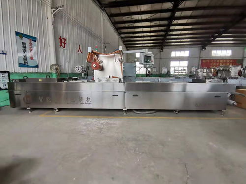 全自动真空包装设备 现代包装技术的革新与应用