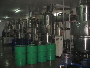 瑞思达RSD双室真空油炸机 高端真空设备的价值解析